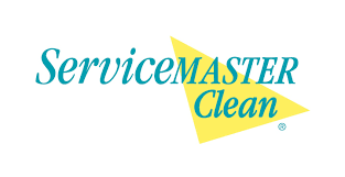 carpet cleaning in petal ms
