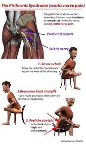 Superficial extrinsic muscles of the back: Lower Back Exercises
