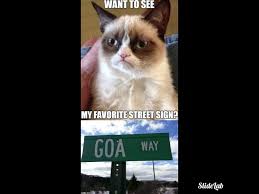 Our templates have those, and all you need to do is edit the content. Clean Grumpy Cat Meme Compilation Youtube