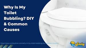 Why Is My Toilet Bubbling Diy Common