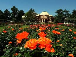Exposition Park Rose Garden Los