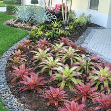 Tropical Front Yard Landscaping Ideas