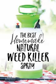 eco friendly weed recipe