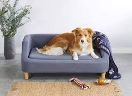 aldi is selling tiny sofas for your dog