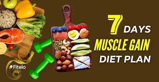 muscle gain t plan with 7 day meal