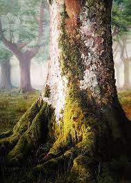 mossy tree tree oil paint forest