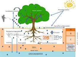 Environmental Risk Of Groundwater Pollution By Pesticide