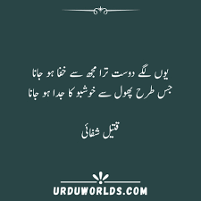 Dedicate beautiful urdu poetry to your friends, and make your friendship you must find best dost shayari for your best friend and make them feel happy because of you. Yuun Lage Dost Tira Mujh Se Khafa Ho Jaana Friendship Poetry