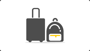 Special Luggage Vueling