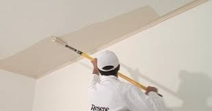 how to paint a ceiling diy guide video