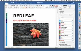 Microsoft Office 2016 For Mac Review