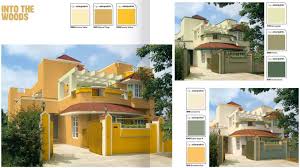 asian paints shade card pdf 2023 apex