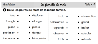 French B: Les familles de mots