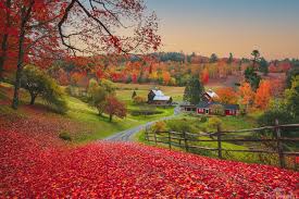Vermont New England Usa Fall Landscape