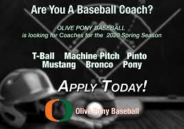 Olive Pony Baseball