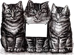 8 black and white cat clipart the