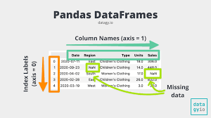 pandas drop a dataframe index column