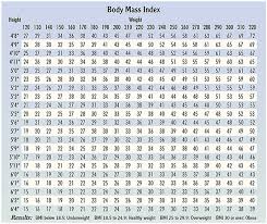 Understanding Body Mass Index Bmi Articles Mount Nittany