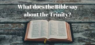 ÙØªÙØ¬Ø© Ø¨Ø­Ø« Ø§ÙØµÙØ± Ø¹Ù âªThe Concept Of The Trinity In The Bibleâ¬â