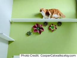 17 Best Cat Shelves And Wall Perches