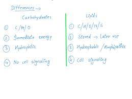 what is the main chemical similarity