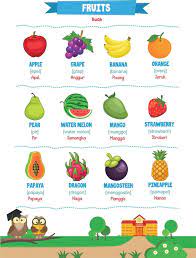 fruits with names vector art icons