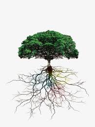 Image result for tree with roots