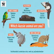 I have just been prescribed prednisone by my neurologist. Quiz Which Aussie Animal Are You Wwf Australia Wwf Australia