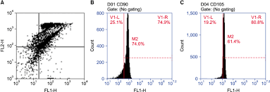 Flow Cytometry Chart Showing Double Stain For Cd34 Fl1 H