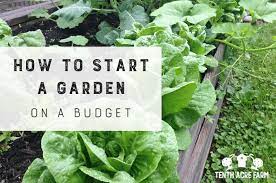 how to start a garden on a budget