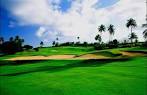 Palmas del Mar Country Club - The Palm Course in Humacao, Humacao ...