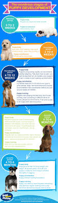 Care guide for newborn puppies | lovetoknow. Puppy Development Stages Newborn Milestones Growth Charts
