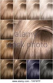 Hair Color Palette With A Wide Range Of Samples Samples Of