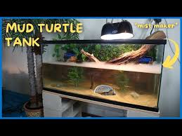 Put all preferred enhancement to make the basking dock more comfortable for the turtles. Setting Up 110 Gallon Indoor Turtle Pond Diy Litetube