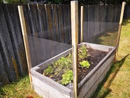 10 Vegetable Garden Fence Ideas To