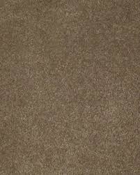 shaw carpet true inspiration z6872