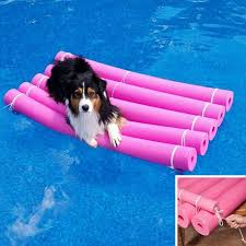 In the summer, the pool can be a great place to relax with family and friends to cool off. 5 Diy Pool Floaties Your Dog Will Love Family Handyman
