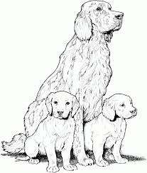 Click on the buttons below each graphic to be taken to each individual dog coloring sheet's download page. Pin On Adult Coloring Pages
