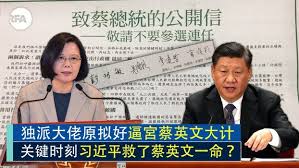 Image result for 獨派四老逼宮蔡英文