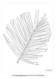 Free vintage tropical leaves printables. Palm Leaf Coloring Pages Free Nature Coloring Pages Kidadl