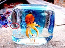 Real Murano Glass Expert View How To