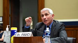 Anthony fauci, the epidemiologist revered almost religiously as a hero by mainstream media outlets and democrat politicians, has admitted that he lied to americans to manipulate their. Corona Infektionen In Den Usa Fuhrender Us Immunologe Fauci Ist Beunruhigt Zdfheute