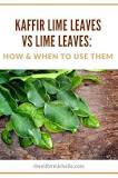 Can you substitute kaffir lime leaves for normal lime leaves?