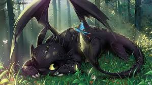 hd wallpaper dragons how to train your