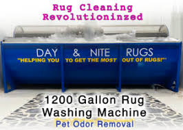 day nite rugs expert rug cleaning