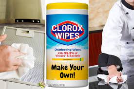 myo instant clorox cleaning wipes
