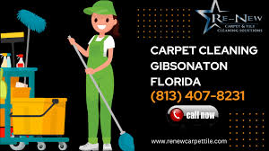 carpet cleaning gibsonton florida