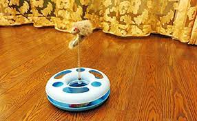 Be quick while you see an obstacle on the way on the conveyor. The Best U Want Crazy Cat Toys For Play Disc Crazy Game Dribbling Cat Pet Toys Spring Mice Buy Online In Antigua And Barbuda At Antigua Desertcart Com Productid 24711884