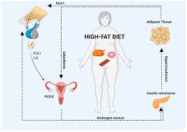 effect of high fat t on disease