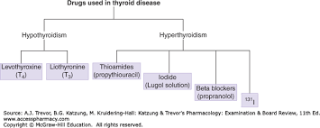 Thyroid Antithyroid Drugs Katzung Trevors
